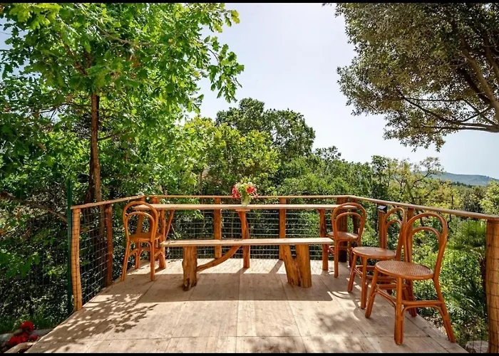 La Vecchia Quercia