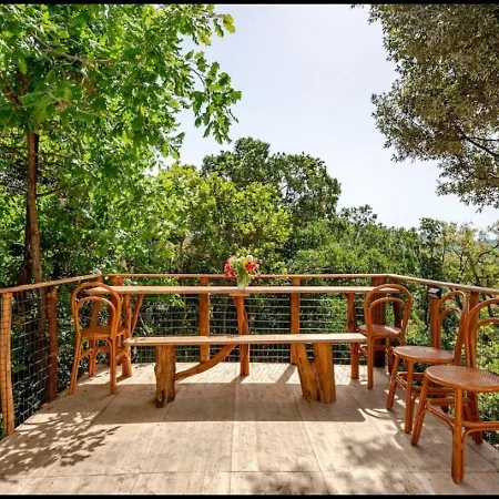 La Vecchia Quercia